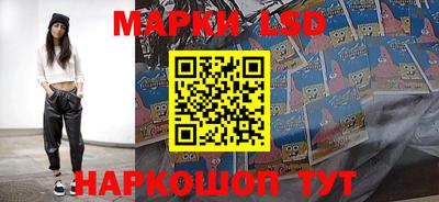 Альфа ПВП Можга