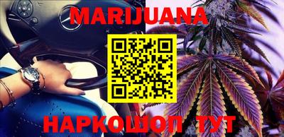 Альфа ПВП Можга