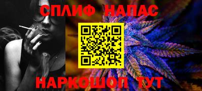 Альфа ПВП Можга